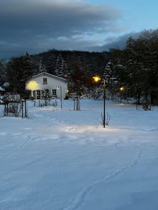 Landhaus „Blattgold“ Lohme Εξωτερικό φωτογραφία