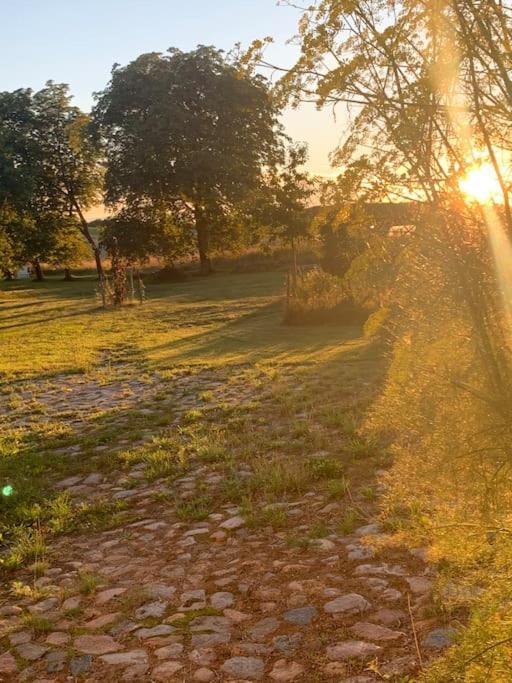 Landhaus „Blattgold“ Lohme Εξωτερικό φωτογραφία